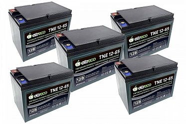 Комплект тяговых аккумуляторов Eltreco TNE12-65 (60V58A/H C3) 